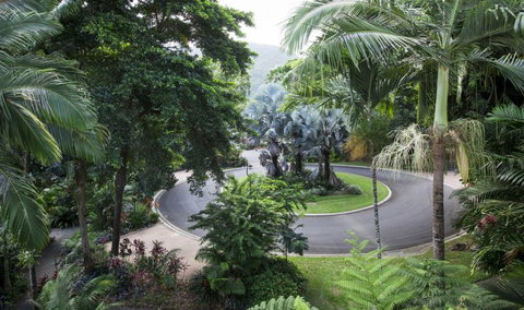 Oasis At Palm Cove - Tourism Canberra 7