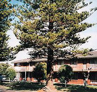 Eastern Beach Holiday Units - Tourism Canberra