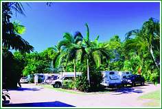 Tropical Hibiscus Caravan Park - Tourism Canberra 0
