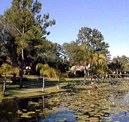 Twin Lakes Hotel - Tourism Canberra