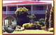 Whitfords By-the-sea Bed And Breakfast And Cottages - thumb 0