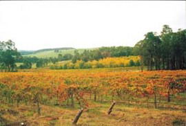  Tourism Canberra