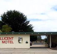 Millicent Motel - Tourism Canberra
