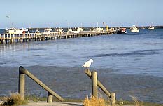 Port Macdonnell SA Tourism Canberra