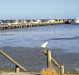 Seaview Motel and Holiday Units - Tourism Canberra