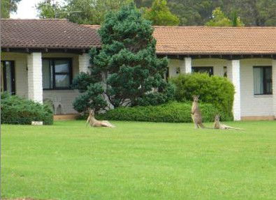 The Oaks Ranch & Country Club - Tourism Canberra 1