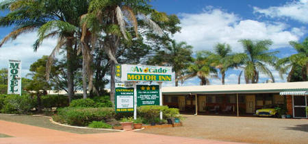 Avocado Motor Inn - Tourism Canberra 0
