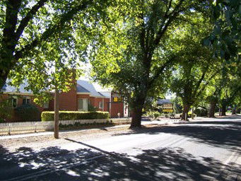 Bacchus Marsh Avenue - Tourism Canberra 1