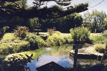 Bayside Gardens - Tourism Canberra