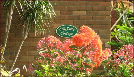 Lillypilly - Tourism Canberra 0