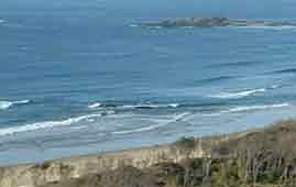 Beach Haven Apartments - Tourism Canberra 0