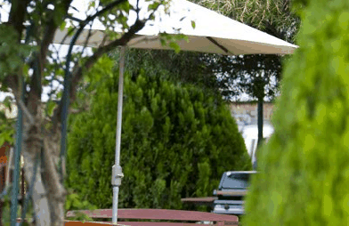 Beechworth Carriage Motor Inn - Tourism Canberra 3