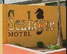 Seahorse Motel - Tourism Canberra 1