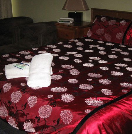 Riverbank Park Motel - Tourism Canberra 1