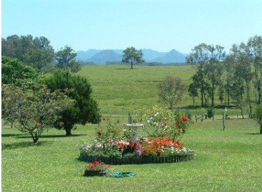 Tallowood Ridge Farmstay B - Tourism Canberra 3