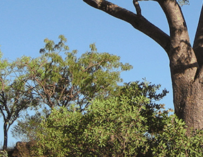 Lakeview Apartments Kununurra - Tourism Canberra 3