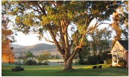 Belltrees Country House - Tourism Canberra 2
