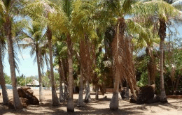 King Sound Resort Hotel - Tourism Canberra