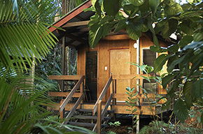 Cape Trib Beach House - Tourism Canberra 0