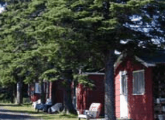 The Pines Resort - Tourism Canberra 3