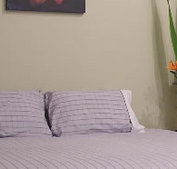 Stingo Hotel - Tourism Canberra