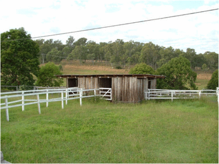 Jacaranda Motor Lodge - Tourism Canberra 1