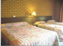 Bega Village Motor Inn - Tourism Canberra 3