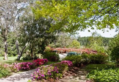 Bilpin Resort - Tourism Canberra 2