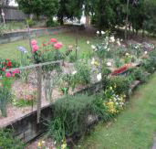 Kintail Homestay - Tourism Canberra