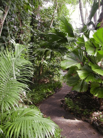 Rainforest Grove Holiday Resort - Tourism Canberra 1
