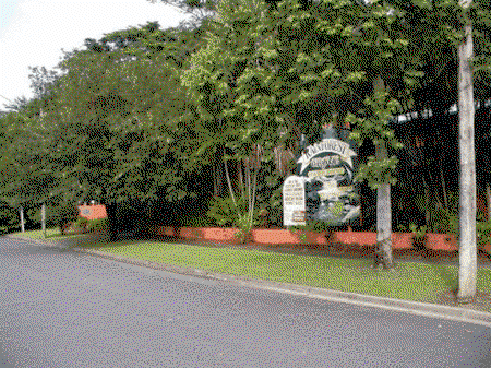 Rainforest Grove Holiday Resort - Tourism Canberra 2