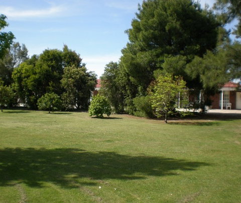 Golden Chain Border Gateway Motel - Tourism Canberra 4