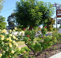 Narrogin Motel - Tourism Canberra