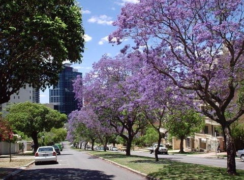 Mountway Holiday Apartments - Tourism Canberra 3