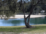 Ocean View Apartments - Tourism Canberra 3