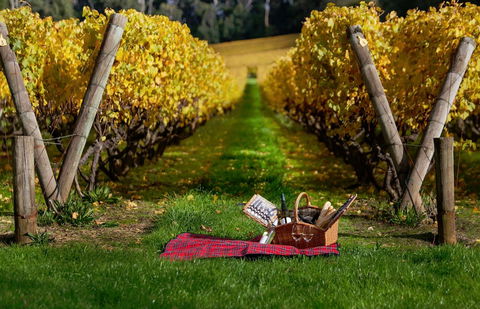 Lindenderry At Red Hill - Tourism Canberra 5