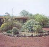 Beaufort Motel - Tourism Canberra