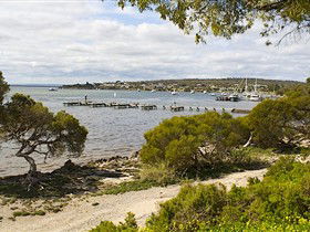 Seagulls Wrest Point - Tourism Canberra 0