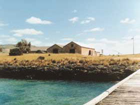 Mt Dutton Bay Woolshed Hostel - Tourism Canberra 0