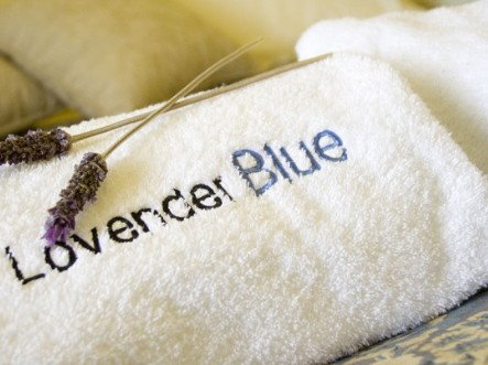 Lavender Blue Country Apartments - Tourism Canberra 3