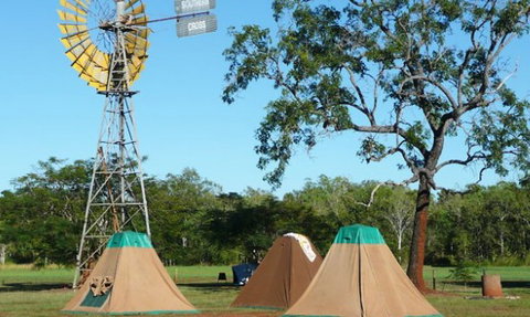 Litchfield Tourist Park - Tourism Canberra 2