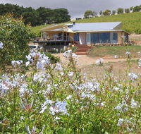 The Blue Grape Vineyard Accommodation - Tourism Canberra