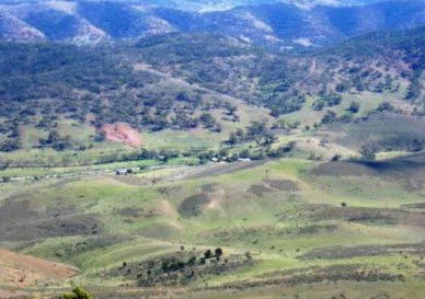 Old Willows Country Estate - Tourism Canberra 1