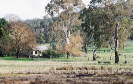 Tungali Cottage - Tourism Canberra 3