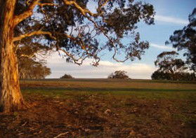 Mirrabooka Bed And Breakfast - Tourism Canberra 1