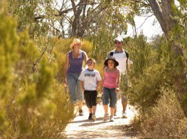 Long Island Caravan Park Cabins - Tourism Canberra 0