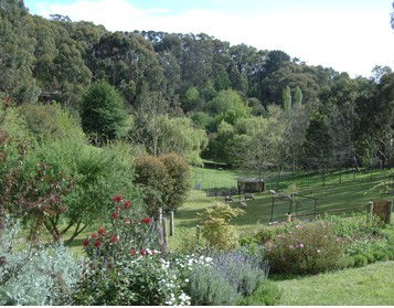 Lorikeet Lane B&B - Tourism Canberra 1