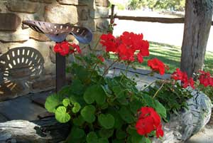 Adelaide Hills Country Cottages - Gum Tree Cottage - Tourism Canberra 3