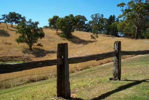 Adelaide Hills Country Cottages - Gum Tree Cottage - Tourism Canberra 4