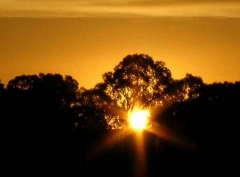 Linfield Cottage - Tourism Canberra 1